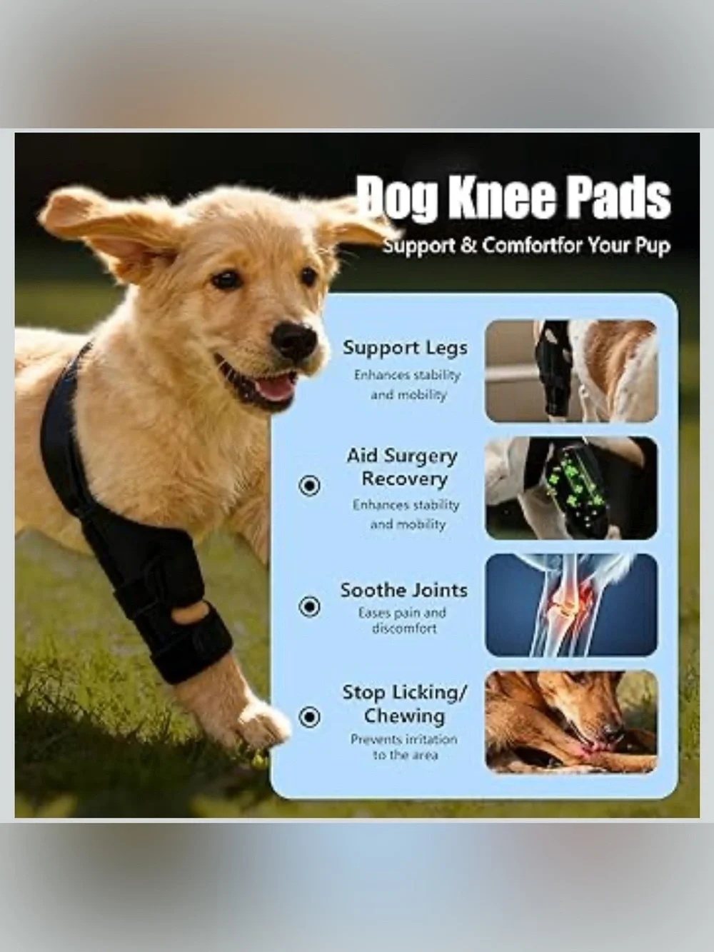Dog Knee Brace For Torn ACL/CCL & Hind Leg Support - XL 1071/bb6